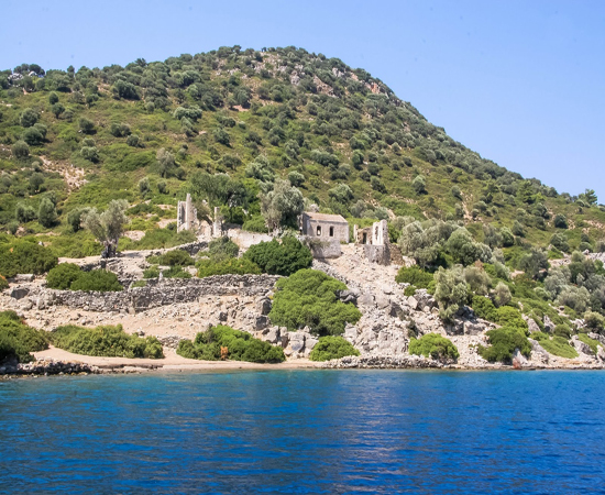 Kamelya Adası