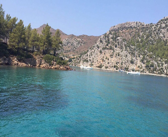 Söğüt Liman